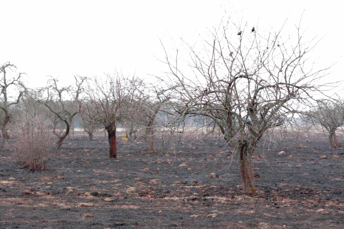 14 и 15 марта 2015 года спасатели посетили населенные пункты  Сычковского сельского совета Бобруйского района и напомнили о недопустимости сжигания сухой растительности.