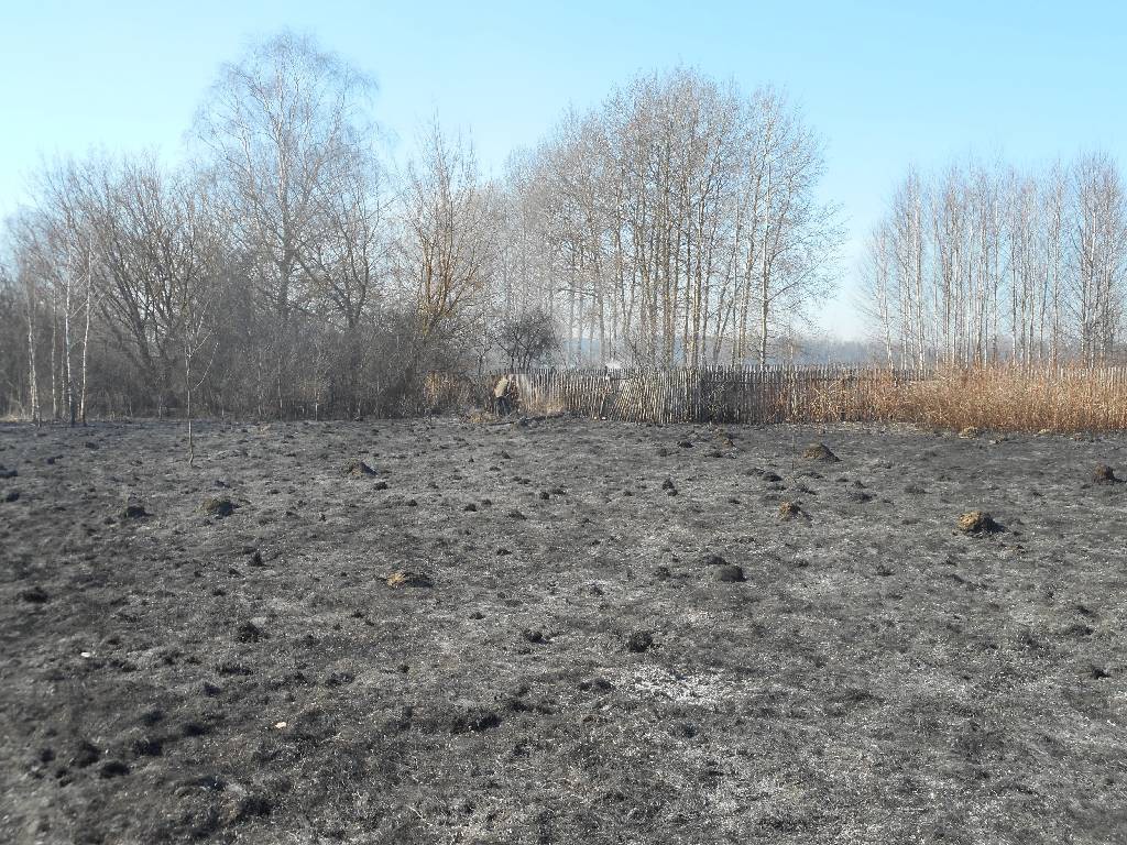 Пожар в деревне Ступени.