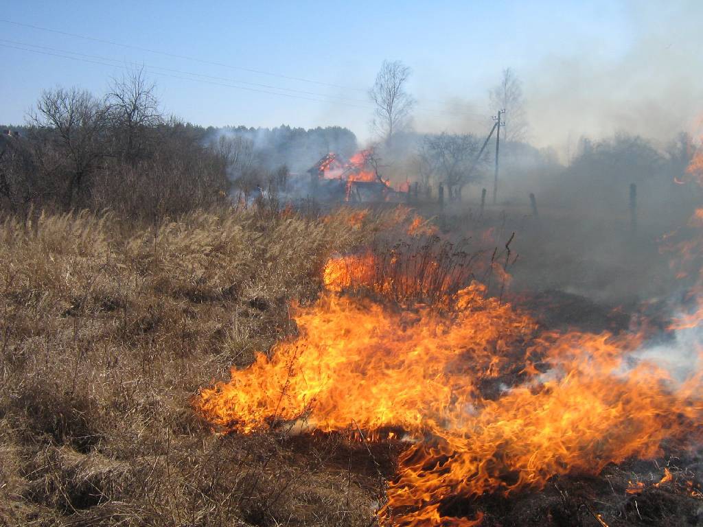 Пожар в деревне Орсичи.
