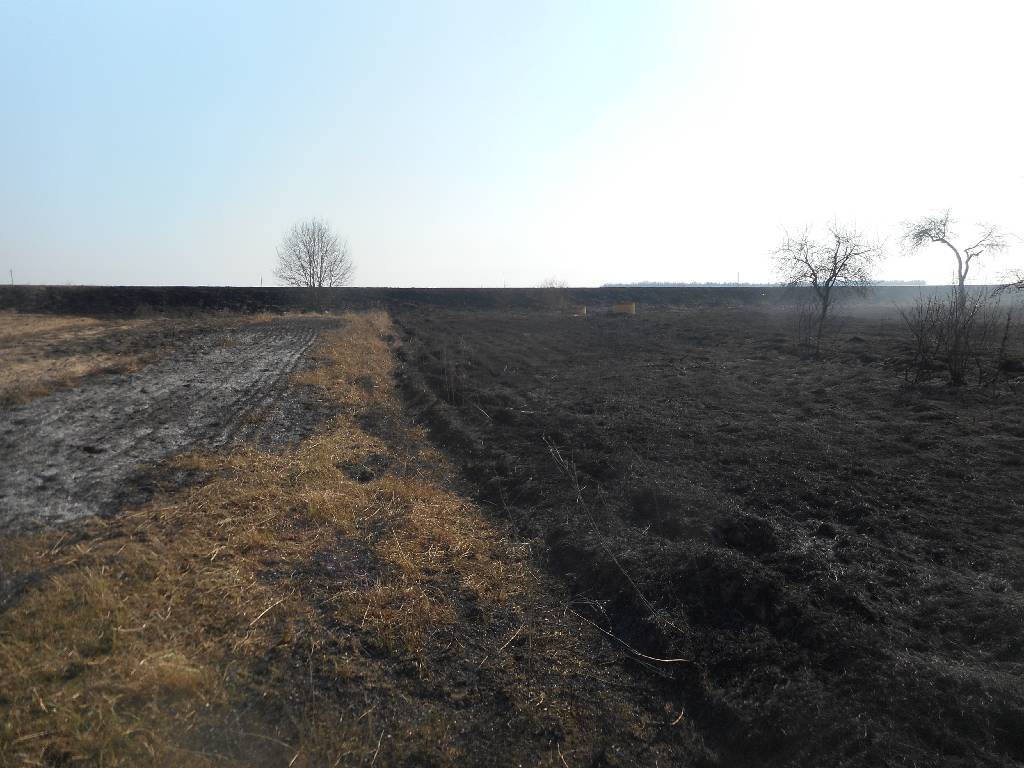 Пожар в деревне Барановичи.