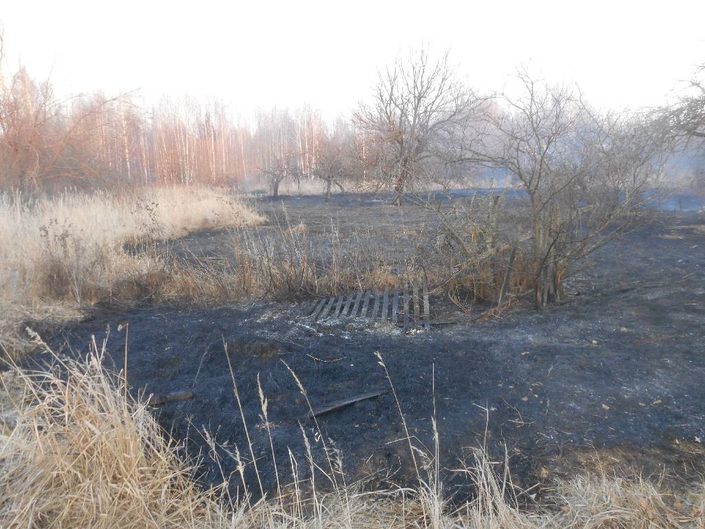 Пожар в деревне Покровка.