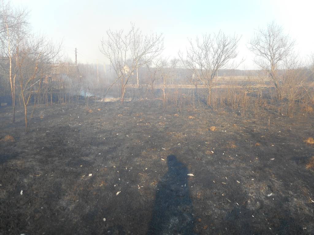 Пожар в деревне Заречье.
