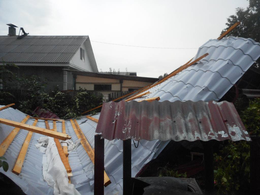 О последствиях сильного ветра на территории города Бобруйска