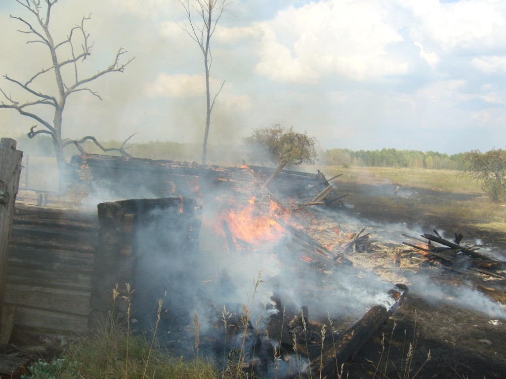 12 августа 2015 года в 15.29 поступило сообщение о загорании травы на улице Заречной в поселке Брожа Бобруйского района.