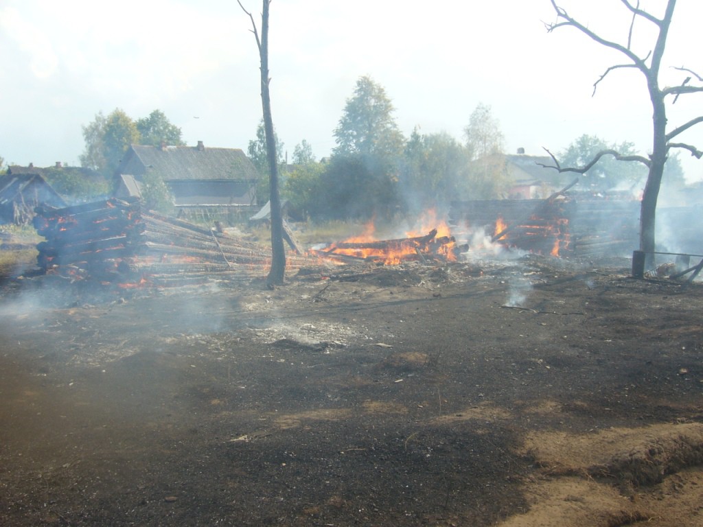 12 августа 2015 года в 15.29 поступило сообщение о загорании травы на улице Заречной в поселке Брожа Бобруйского района.