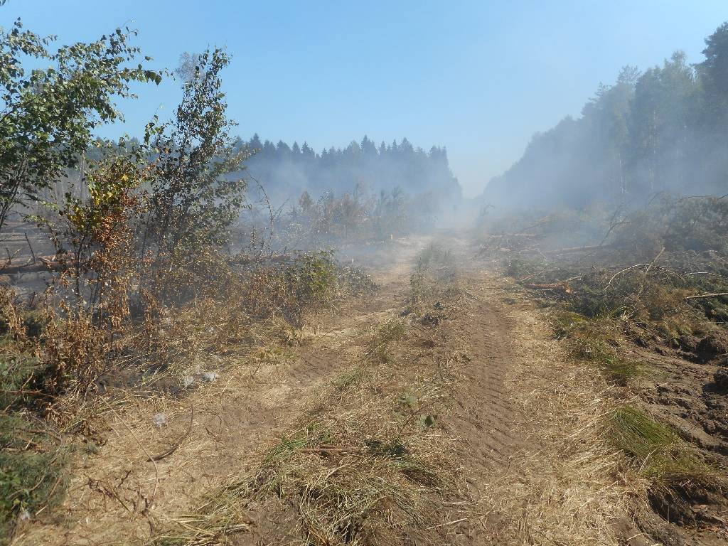 Бобруйский горрайотдел о чрезвычайным  ситуациям напоминает гражданам о запрете посещения лесов.