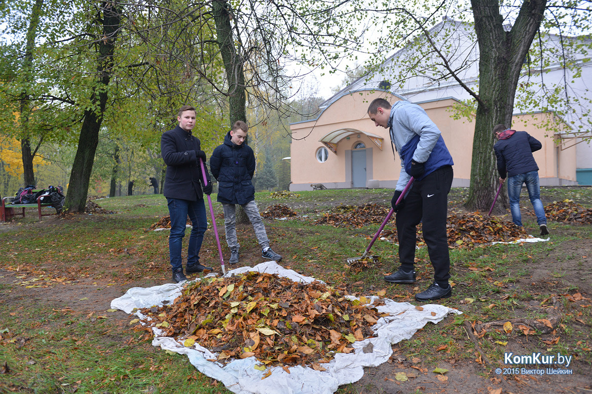 В бобруйском парке снова чистили озера В бобруйском парке снова чистили озера