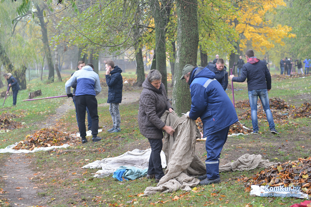 В бобруйском парке снова чистили озера В бобруйском парке снова чистили озера