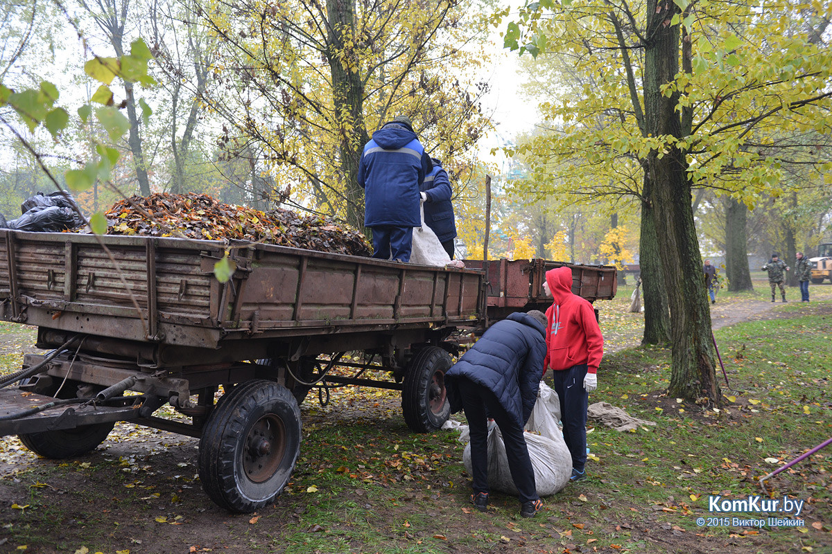 В бобруйском парке снова чистили озера В бобруйском парке снова чистили озера