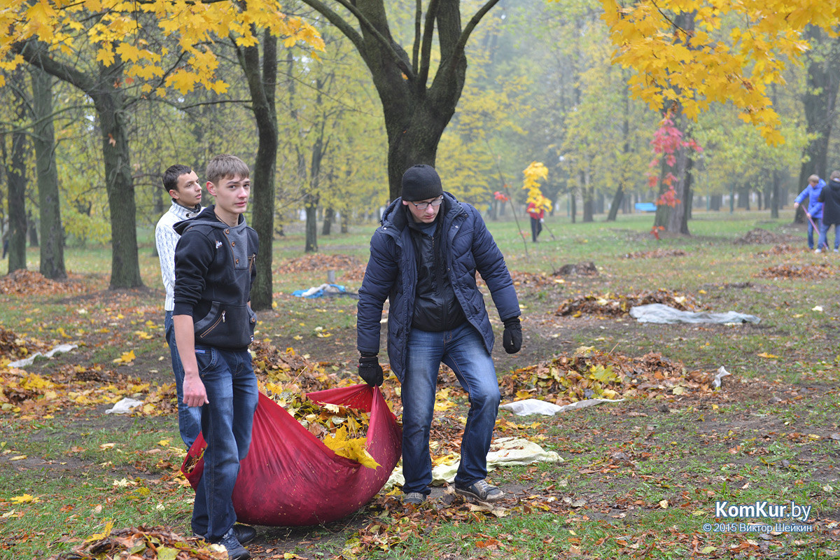 В бобруйском парке снова чистили озера В бобруйском парке снова чистили озера