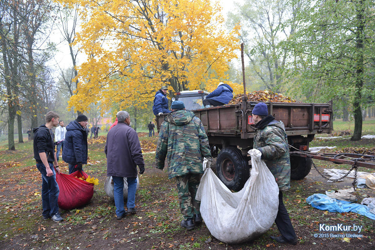 В бобруйском парке снова чистили озера В бобруйском парке снова чистили озера