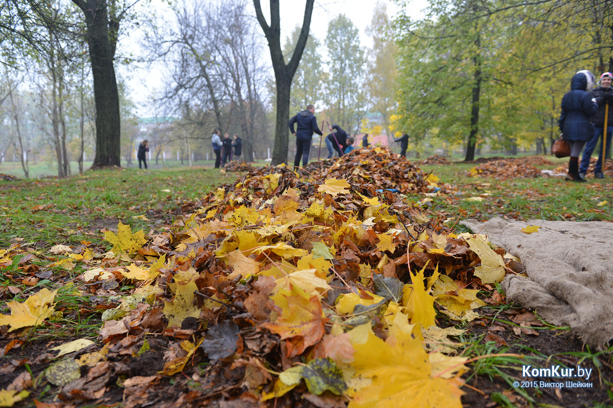 В бобруйском парке снова чистили озера В бобруйском парке снова чистили озера