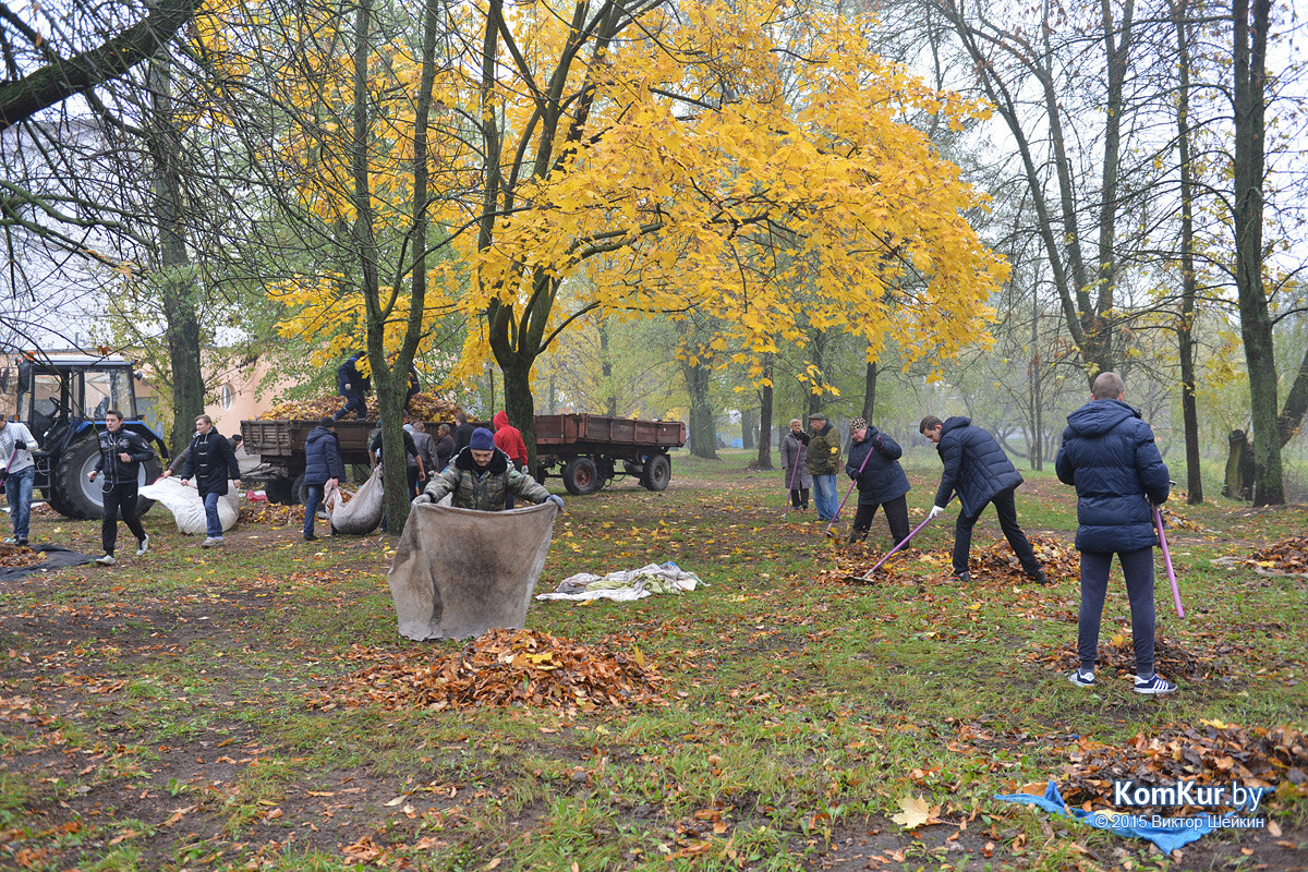 В бобруйском парке снова чистили озера В бобруйском парке снова чистили озера