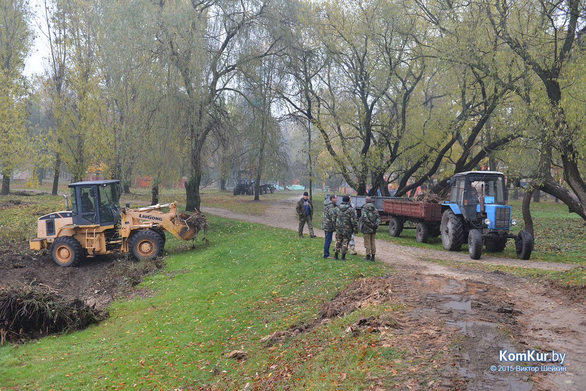 В бобруйском парке снова чистили озера В бобруйском парке снова чистили озера