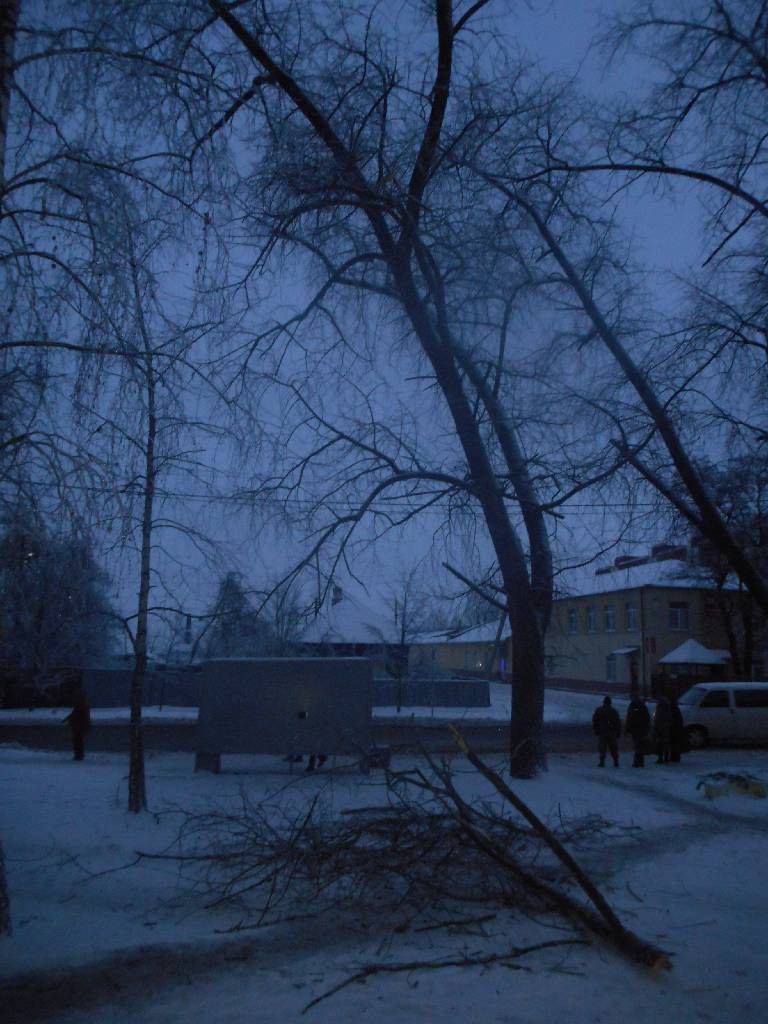 13 января на улице Пушкина на мужчину упал сук с дерева. Пострадавший - житель города Бобруйска.