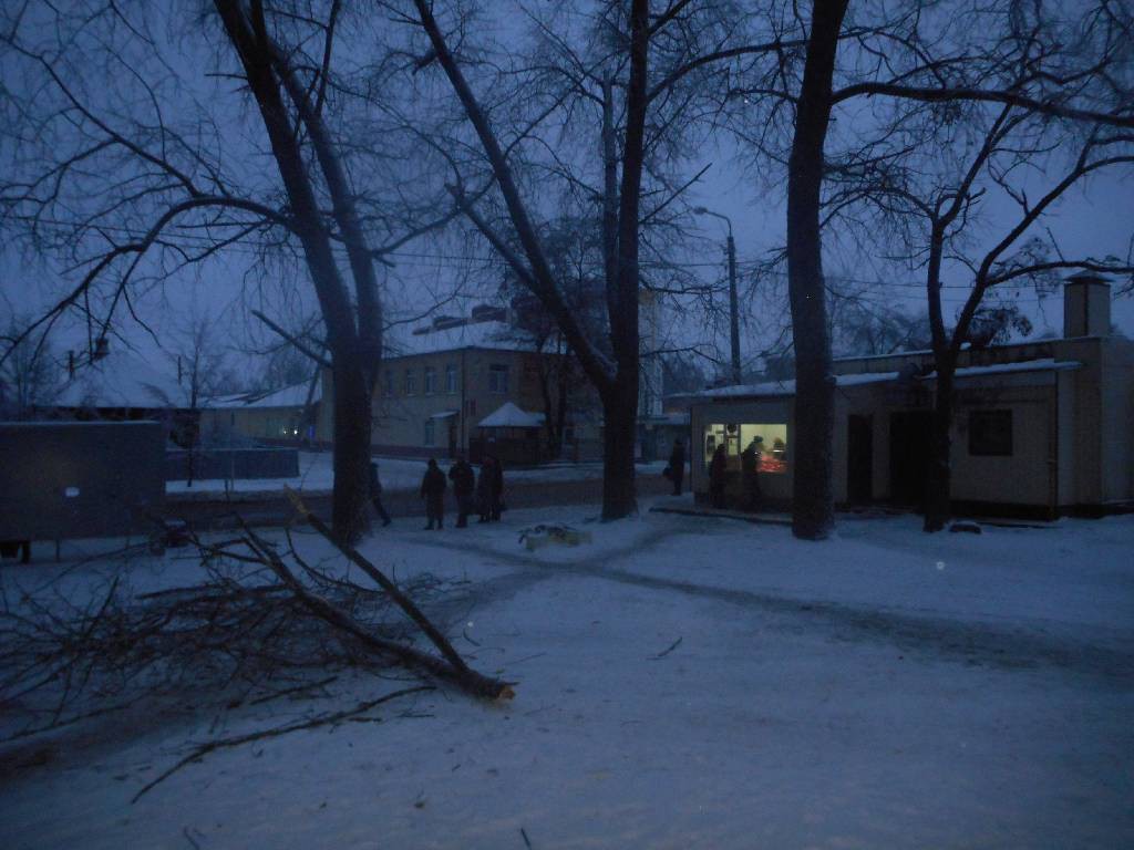13 января на улице Пушкина на мужчину упал сук с дерева. Пострадавший - житель города Бобруйска.