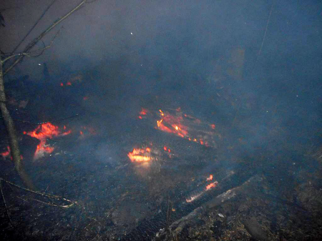13 февраля 2016 года в 23.55. на пульт бобруйским спасателям от гражданина Н., (сосед) поступило сообщение о пожаре частного жилого дома, расположенного в деревне Терешково Химовского сельского совета Бобруйского района.