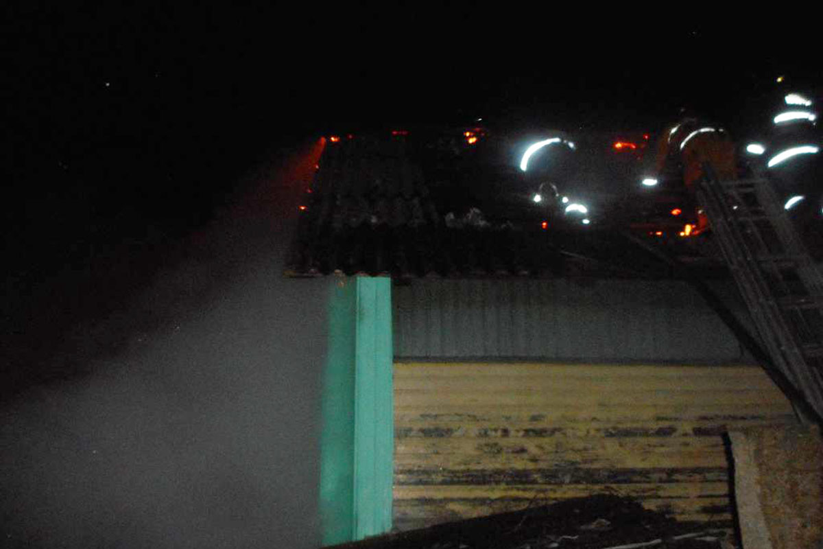 25 марта 2016 года в 00-22 в центр оперативного управления Бобруйского горрайотдела по ЧС от гражданина Н. по телефону поступило сообщение о пожаре дачного дома в деревне Михалева-2 Бобруйского района.