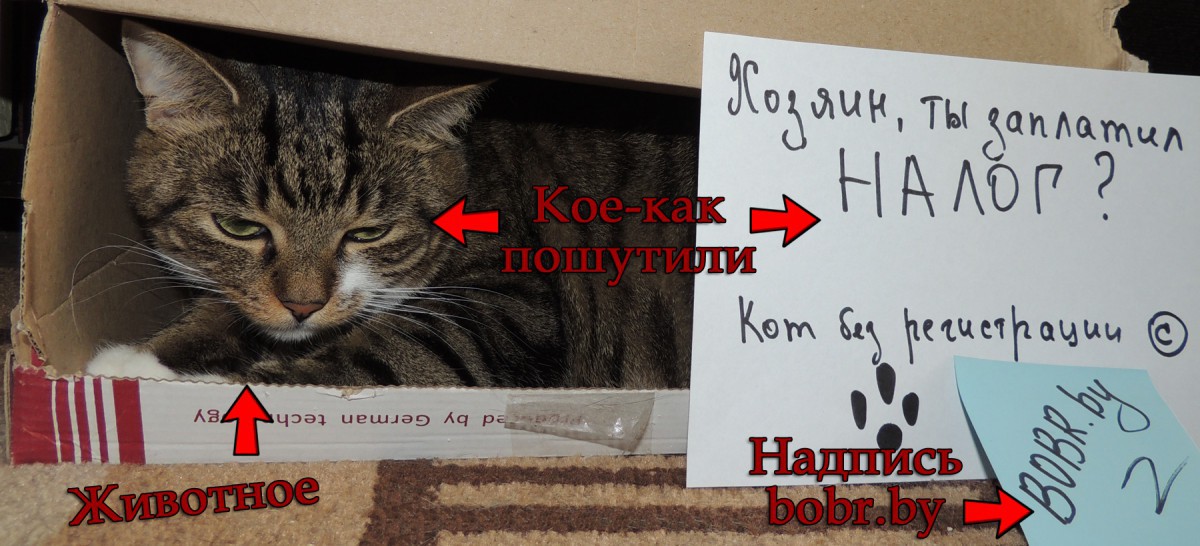 Встречаем 1 апреля новым конкурсом на BOBR.by Встречаем 1 апреля новым конкурсом на BOBR.by