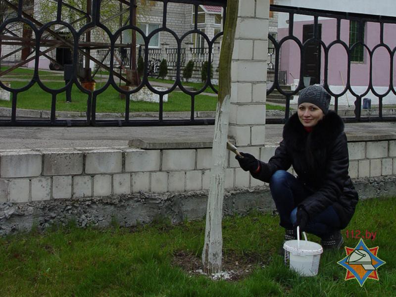 Субботник в Бобруйском горрайотделе по ЧС Субботник в Бобруйском горрайотделе по ЧС