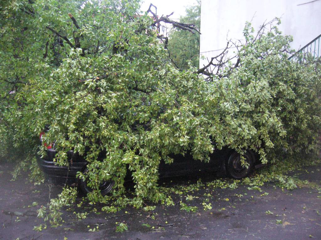 27 июня в результате выпадения большого количества осадков на территории Бобруйска произошло подтопление 16 улиц, 63 домов, 58 подворий по улицам.