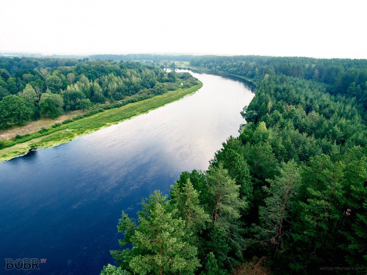 река березина бобруйск