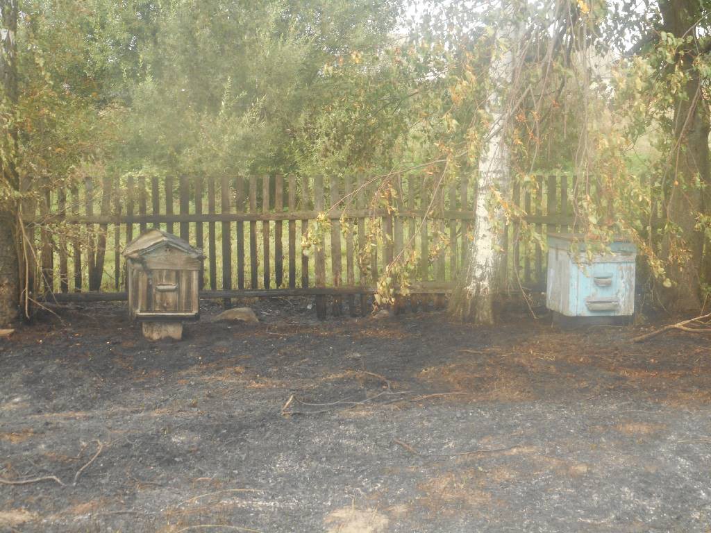 Горение мусора и сухой растительности в деревне Богушовка.