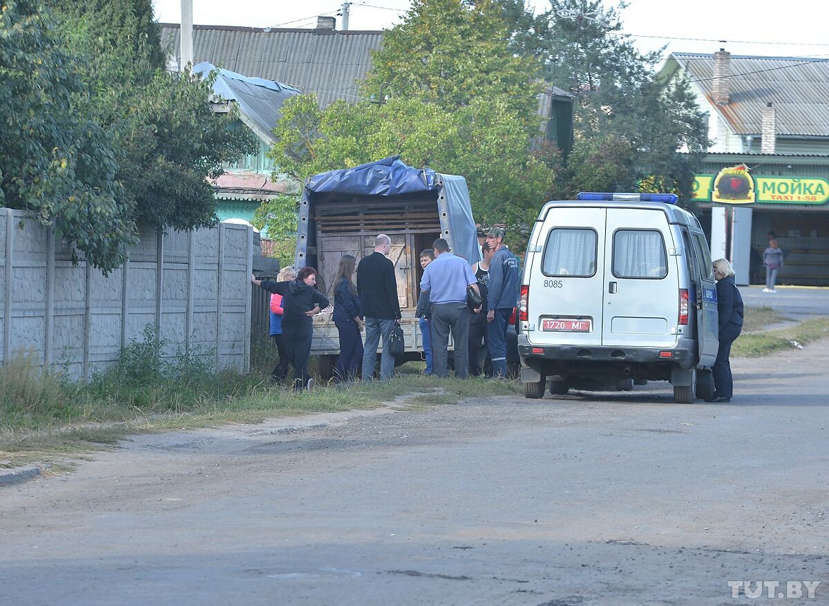Бобруйские страсти. Зоозащитники vs. «Спецавтопредприятие» Бобруйские страсти. Зоозащитники vs. «Спецавтопредприятие»