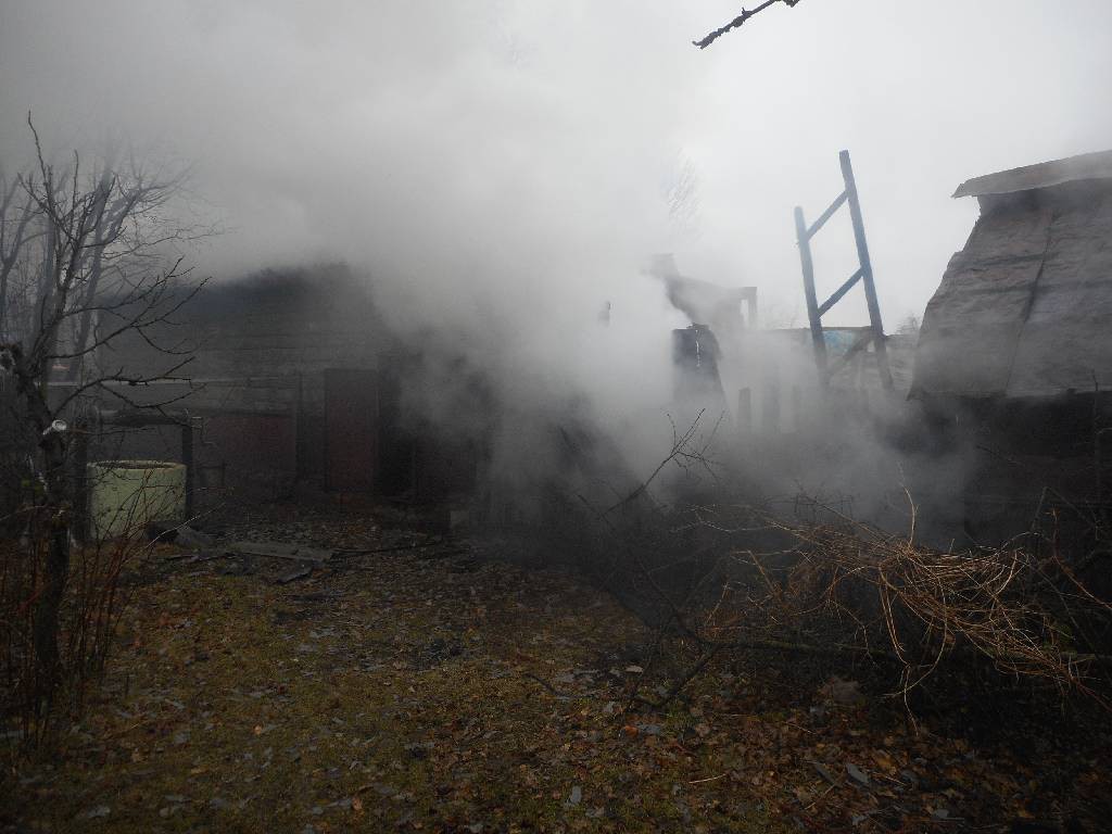 Днем 23 ноября в д. Плесы Бобруйского района произошел пожар. В результате пожара сгорел жилой дом, принадлежащий пенсионерке.