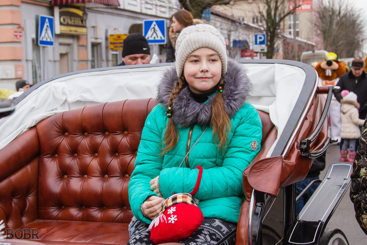 Ограждение из снега