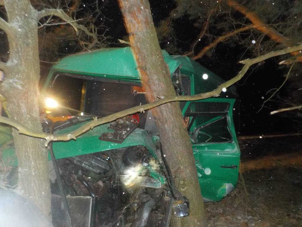 Утром 17 января поступило сообщение дорожно-транспортном происшествии с наличием пострадавшего на автодороге возле деревни Сосновое Бобруйского района.
