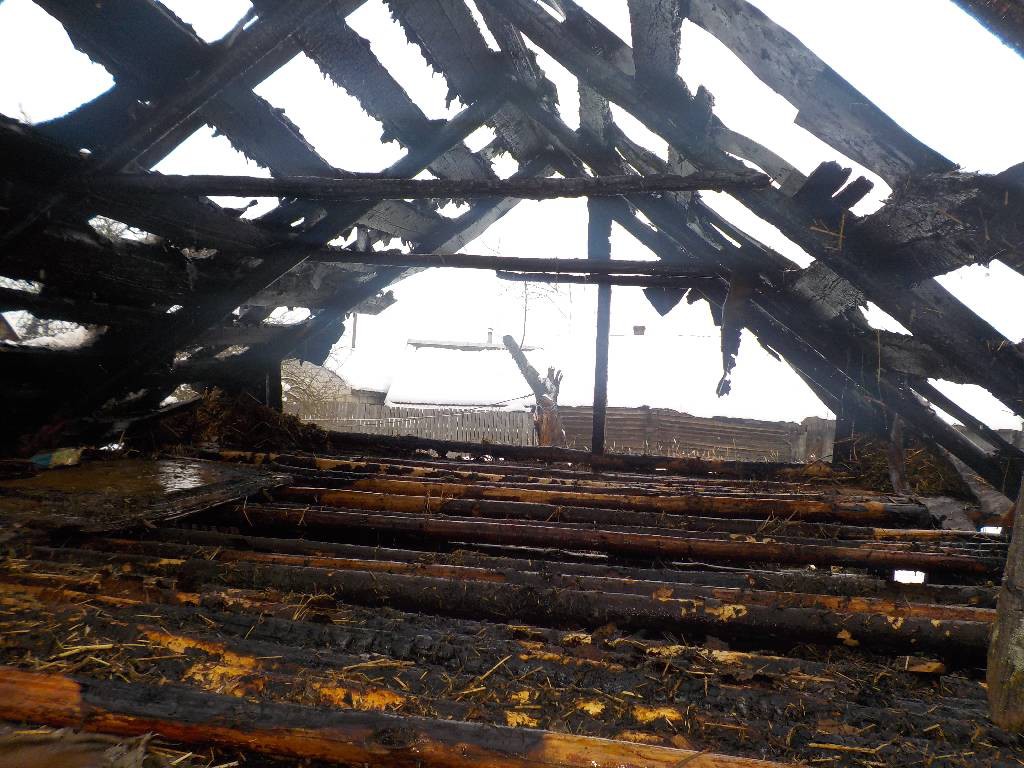 Днем 11 февраля бобруйским спасателям от жителя деревни поступило сообщение о пожаре сарая по адресу: Бобруйский район, деревня Сычково.