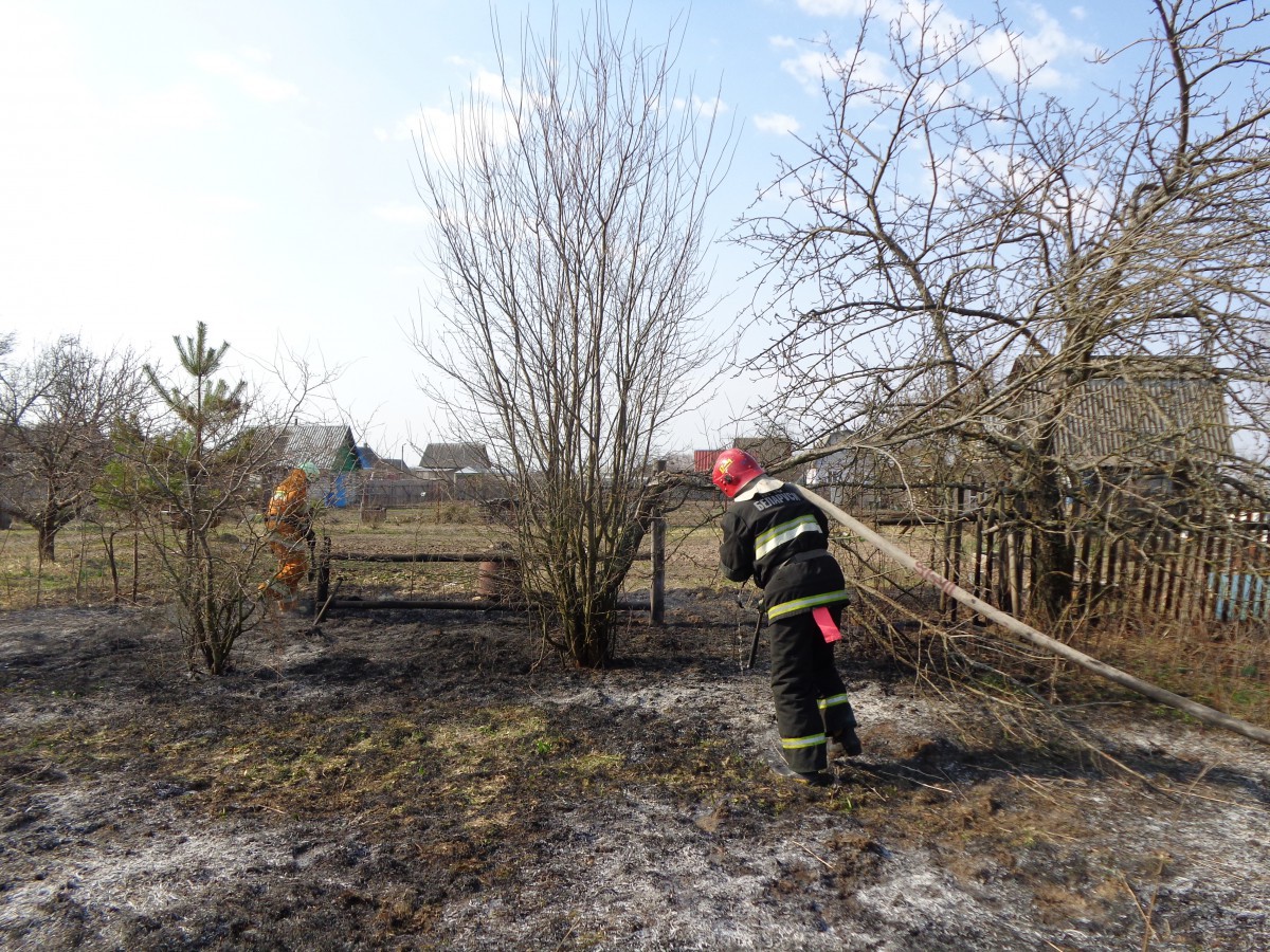 10 апреля в 15-35 поступило сообщение о загорании сухой травы на территории СОТ «Агрохимик» Бобруйского района.
