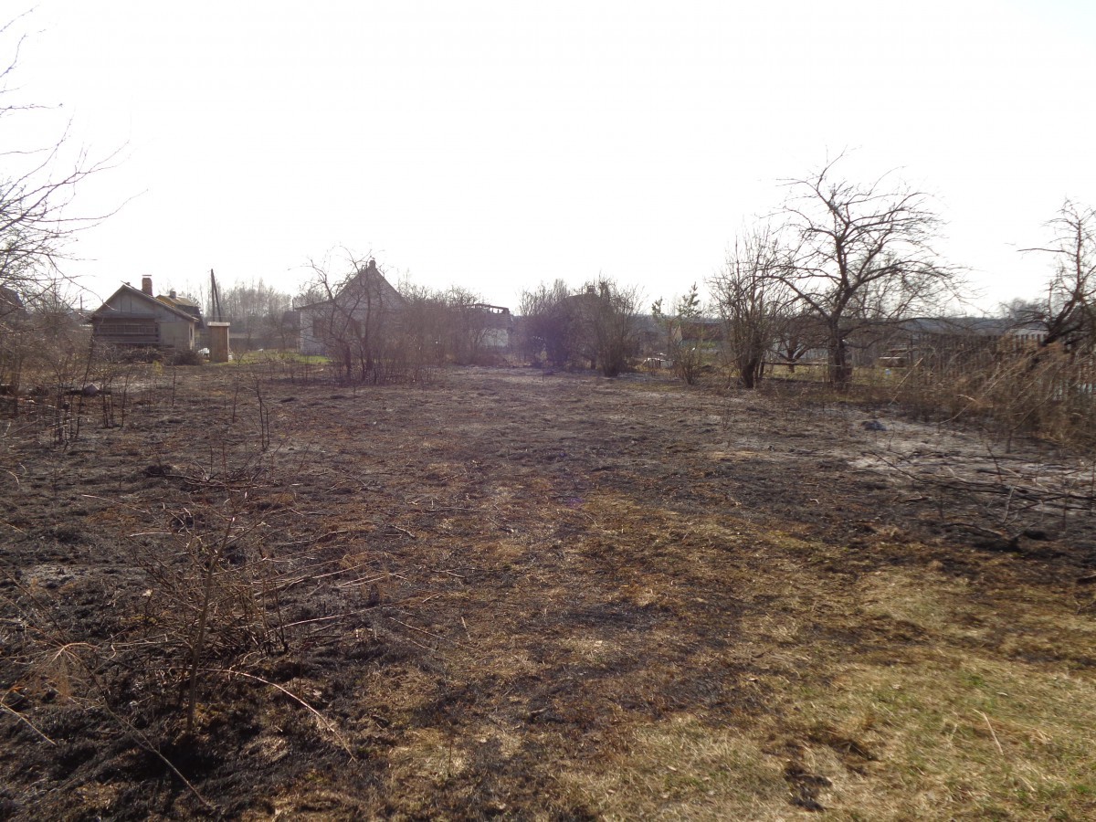 10 апреля в 15-35 поступило сообщение о загорании сухой травы на территории СОТ «Агрохимик» Бобруйского района.