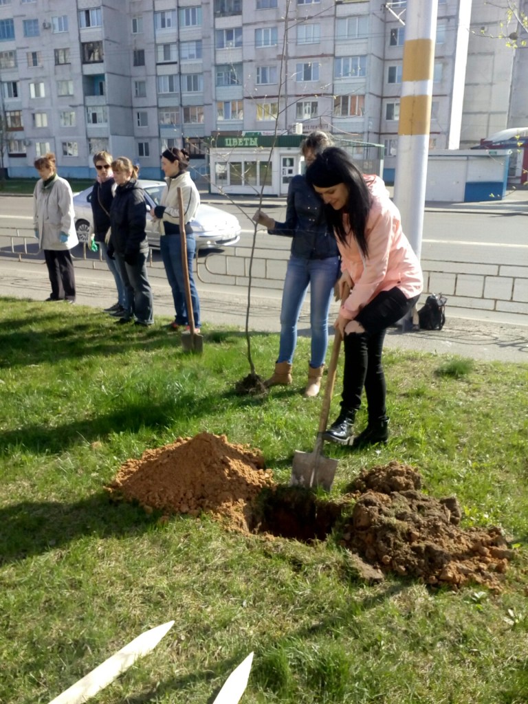 Первомайский район Бобруйска – в порядке! Первомайский район Бобруйска – в порядке!