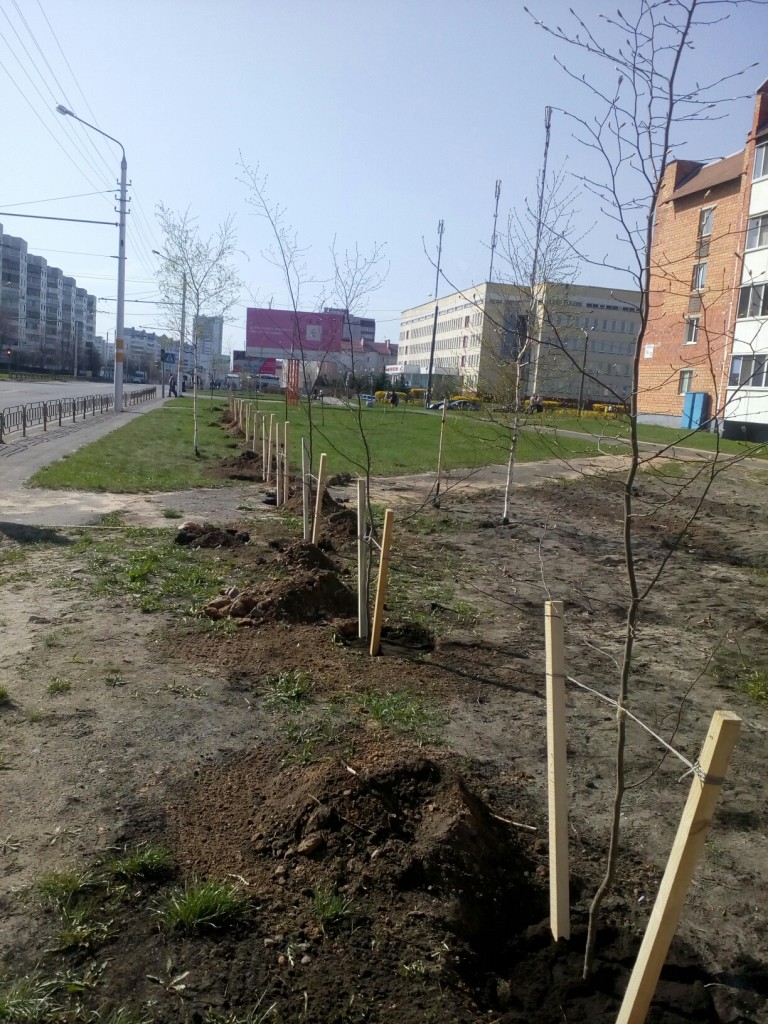 Первомайский район Бобруйска – в порядке! Первомайский район Бобруйска – в порядке!