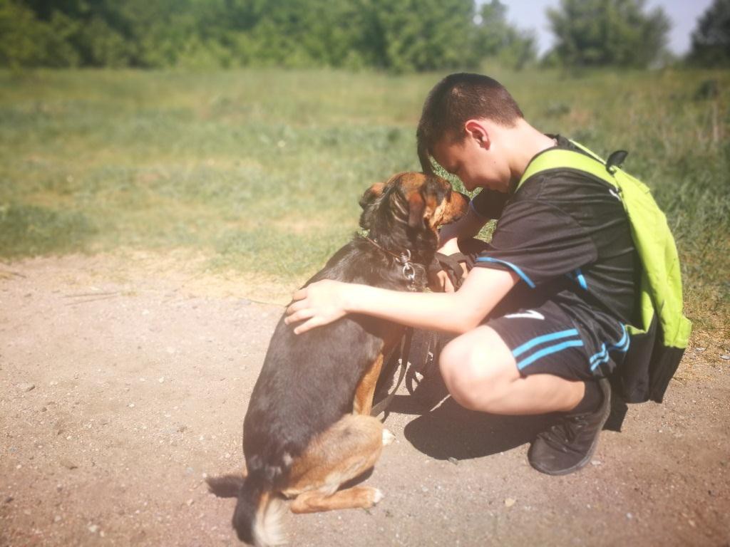 Лучше маленькая помощь, чем большое сочувствие! Лучше маленькая помощь, чем большое сочувствие!