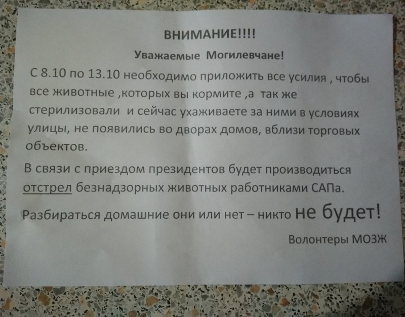 В Могилев приедут Путин и Лукашенко, поэтому сейчас там отстреливают бездомных животных В Могилев приедут Путин и Лукашенко, поэтому сейчас там отстреливают бездомных животных