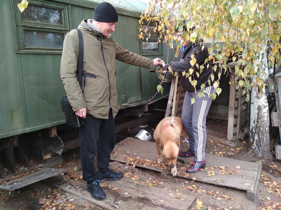 Сколько стоит спасти собаку от смерти на «Спецавтопредприятии» Сколько стоит спасти собаку от смерти на «Спецавтопредприятии»