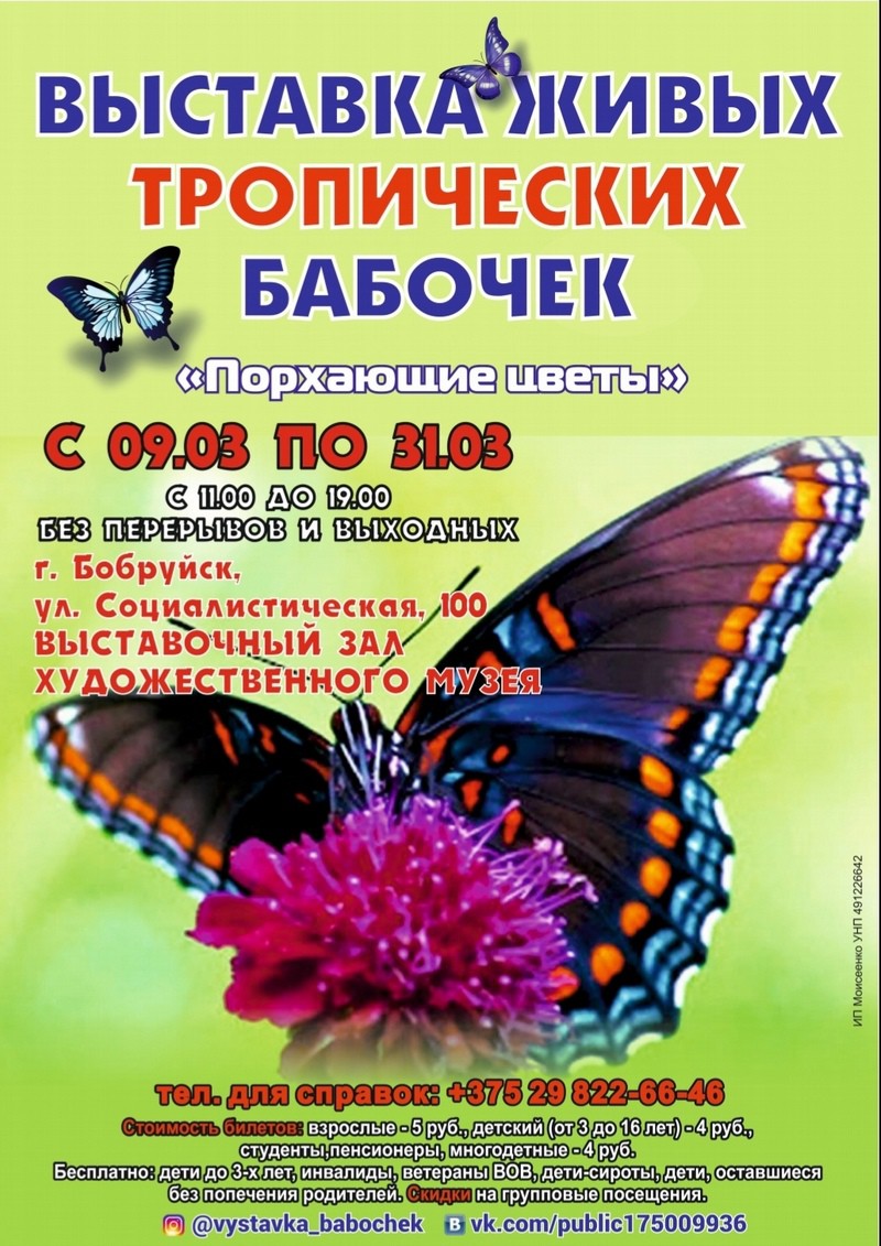 «Порхающие цветы» удивят жителей Бобруйска в марте