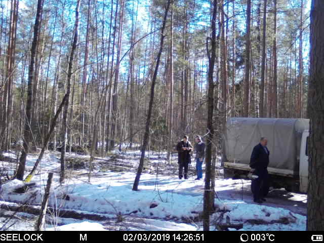 На Бобруйщине нелегальный дровосек попал в фотосети На Бобруйщине нелегальный дровосек попал в фотосети