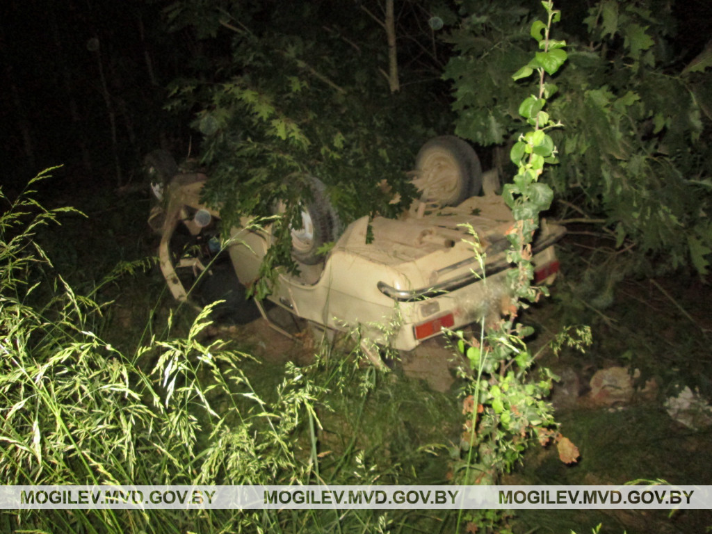 В Бобруйском районе «жигули» вылетели в кювет и опрокинулись: водитель погиб