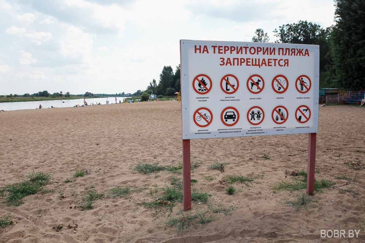 «Страшилки» о кишечной палочке, или почему жители города купаются в водоемах, несмотря на запрет «Страшилки» о кишечной палочке, или почему жители города купаются в водоемах, несмотря на запрет