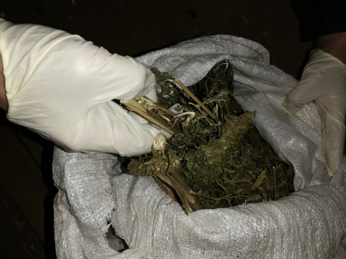 Могилевскими таможенниками изъято более 880 грамм марихуаны