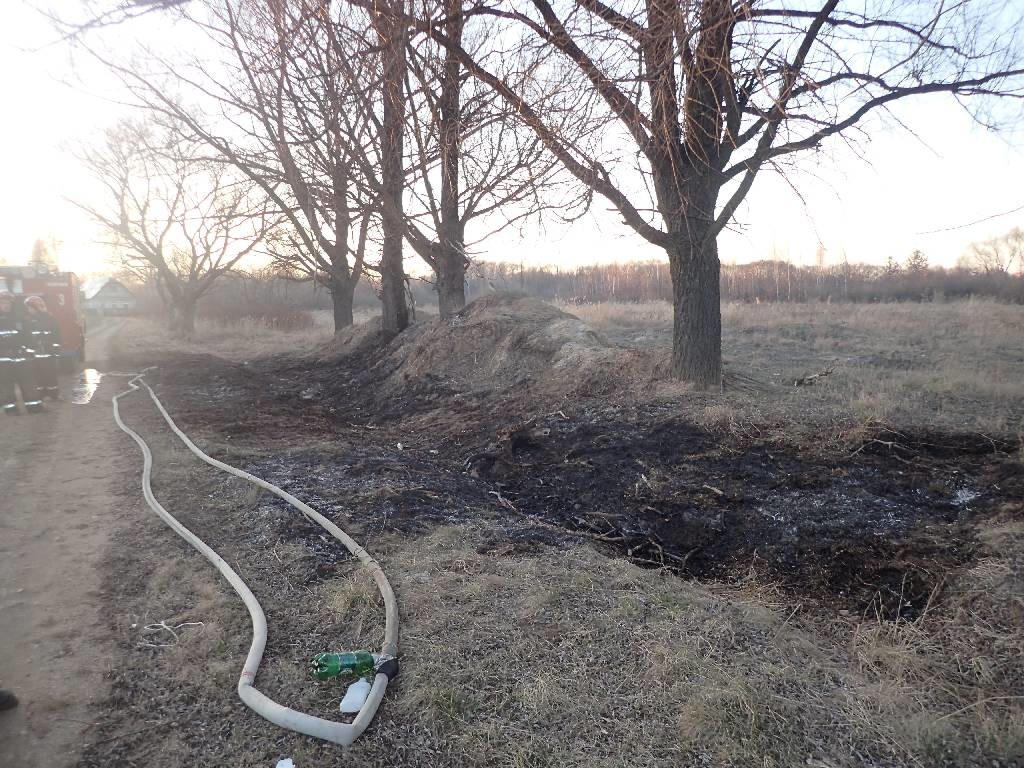 Бобруйчанин получил ожог 90% тела от возгорания сухой травы