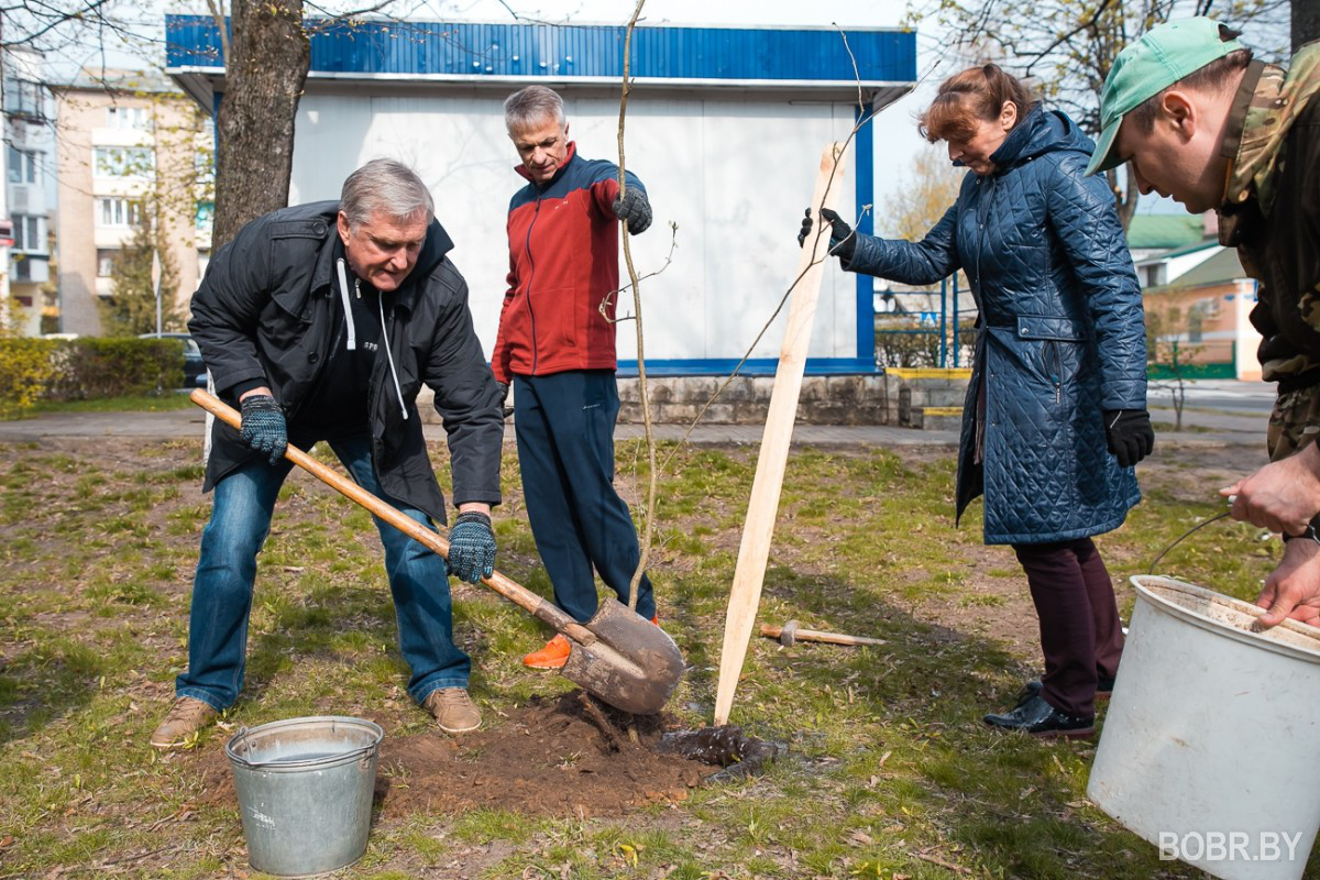 Республиканский субботник картинка