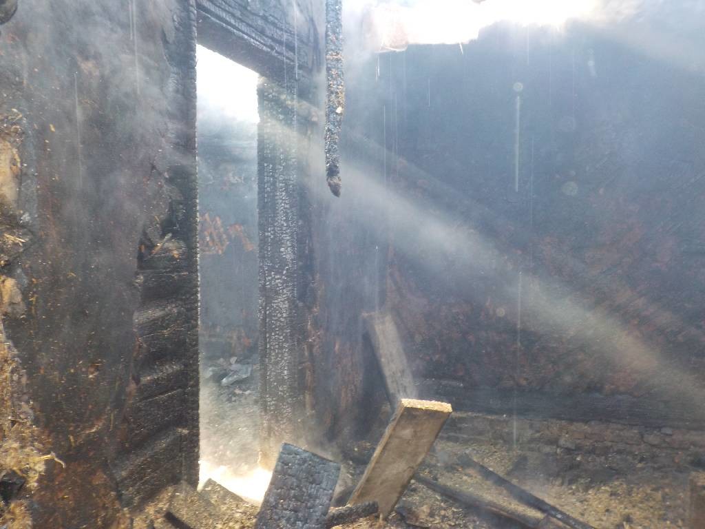 В Бобруйске сгорел заброшенный дом