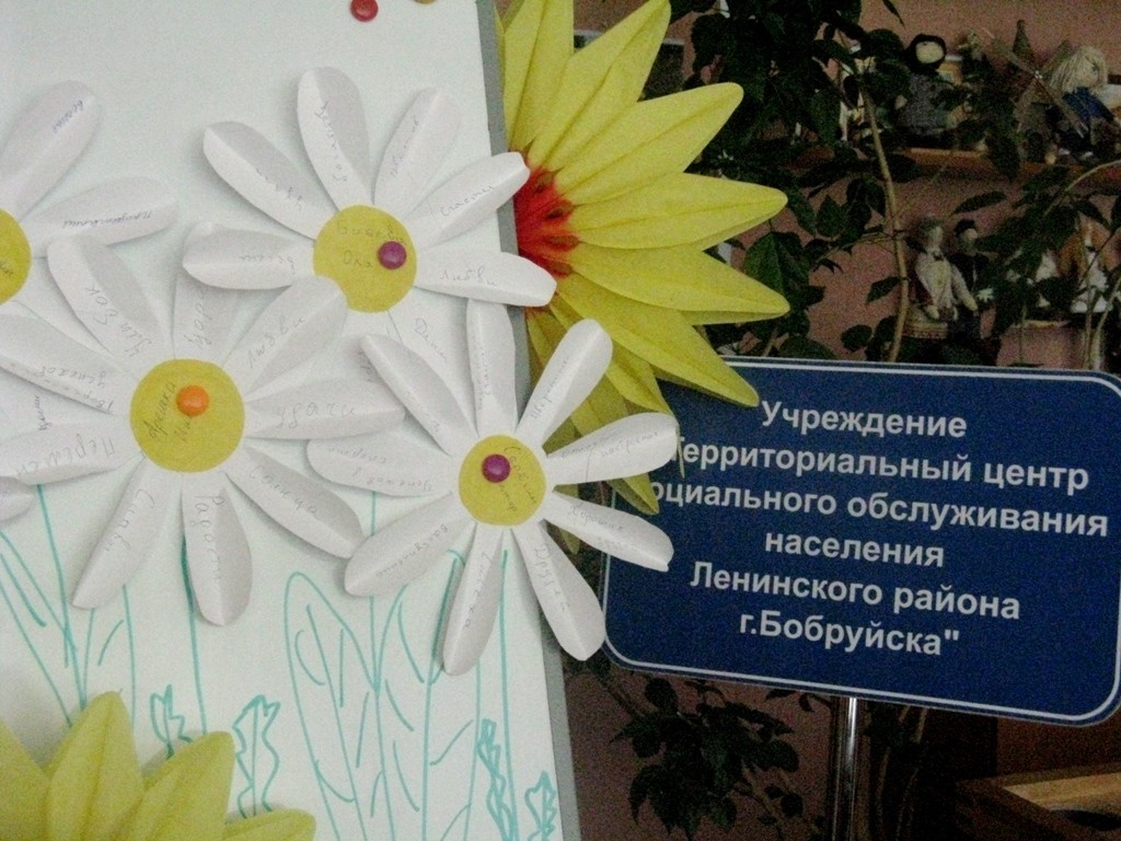 В Бобруйске  появилась  ромашковая онлайн-поляна пожеланий