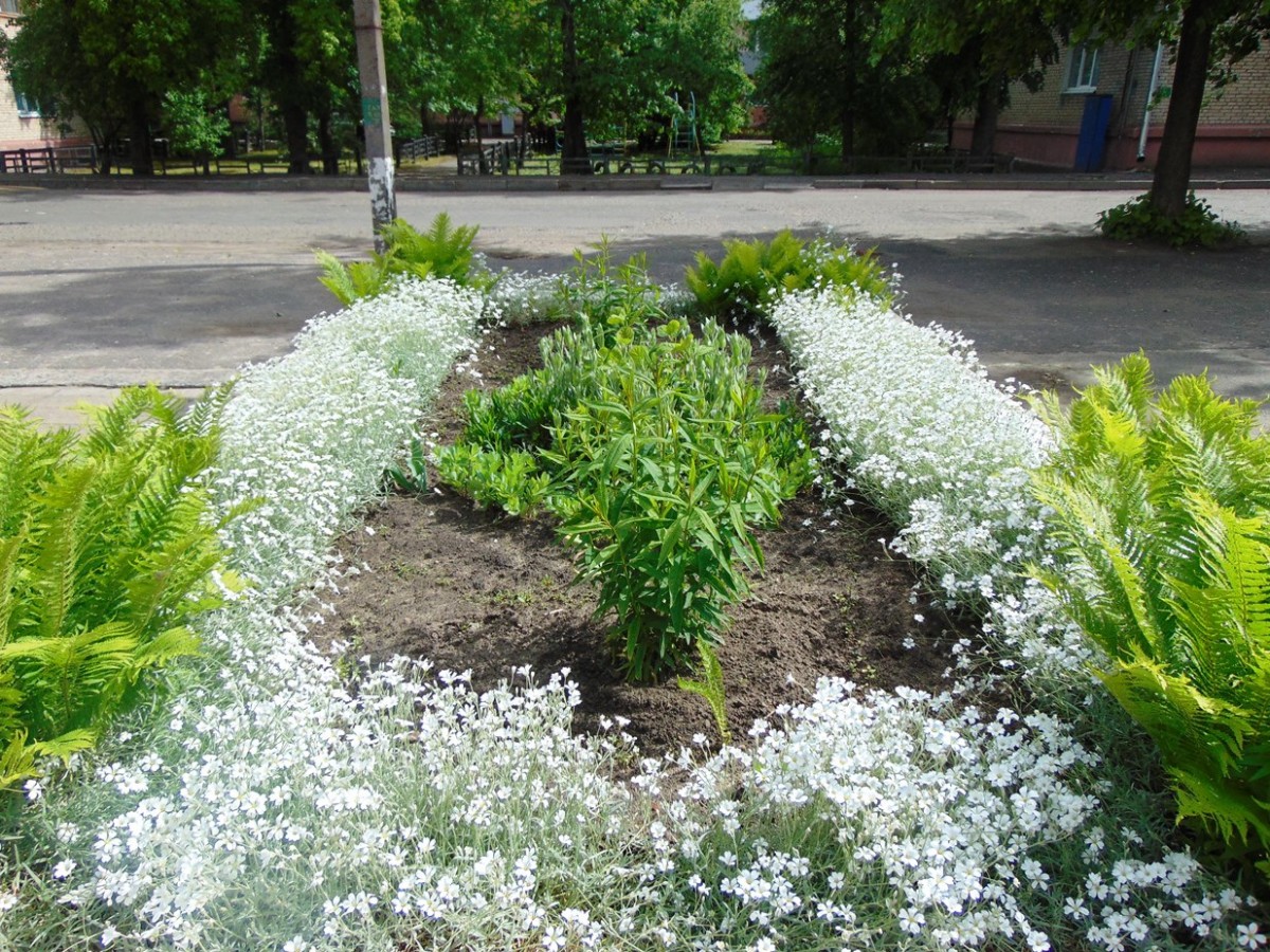 Экологический уголок Центра досуга и творчества