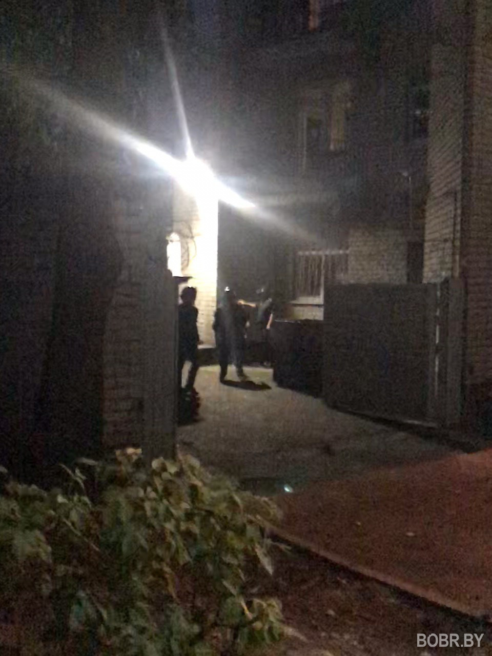 Фото и видеофакты без комментариев. Бобруйск Фото и видеофакты без комментариев. Бобруйск